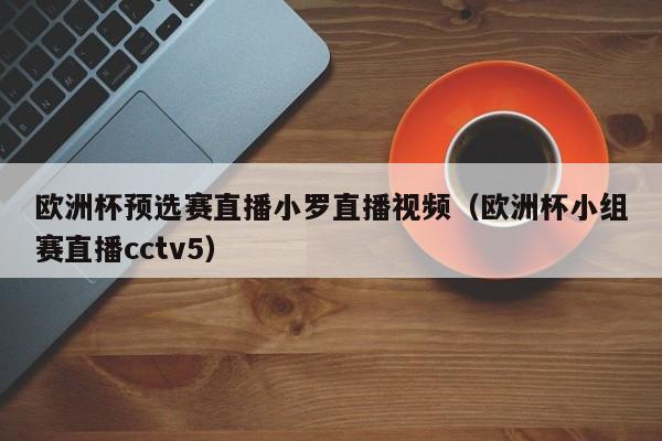 欧洲杯预选赛直播小罗直播视频（欧洲杯小组赛直播cctv5）