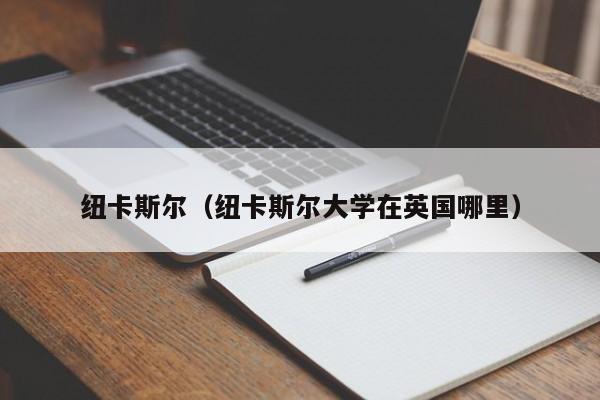 纽卡斯尔（纽卡斯尔大学在英国哪里）