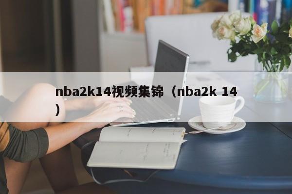 nba2k14视频集锦（nba2k 14）