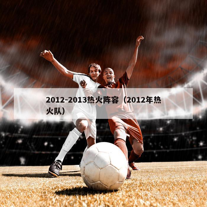 2012-2013热火阵容（2012年热火队）