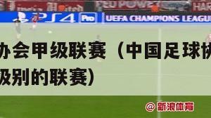 中国足球协会甲级联赛（中国足球协会甲级联赛是什么级别的联赛）