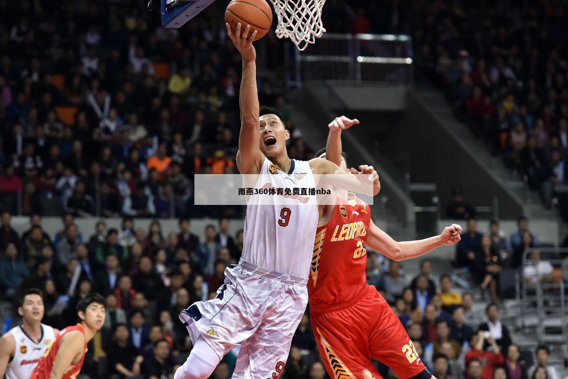 雨燕360体育免费直播nba